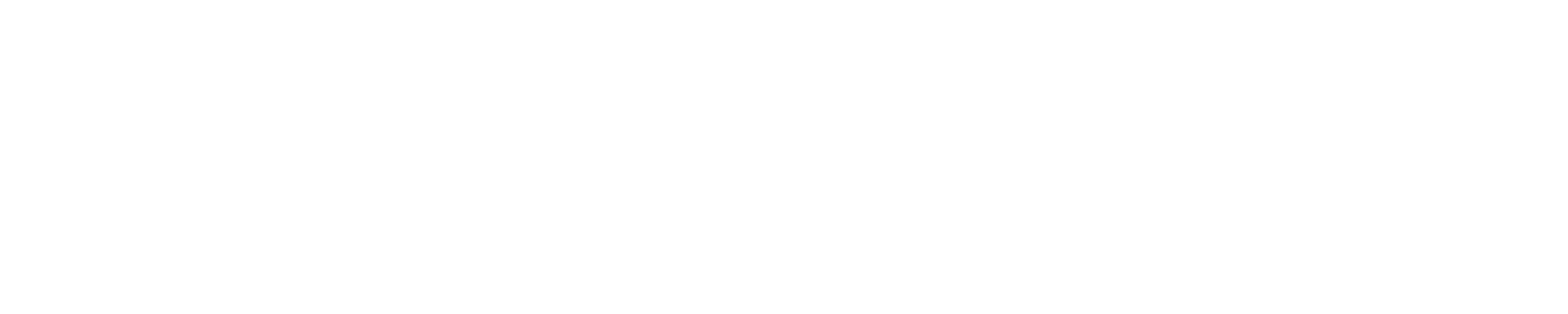 Design Vision logo White-v018 2023